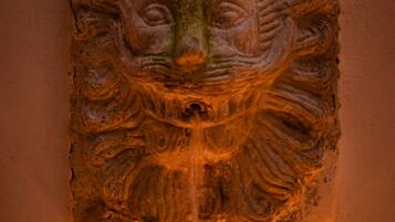 Un relieve de piedra que muestra el rostro de un león, con un ojo y una boca en el centro, sobre un muro liso.