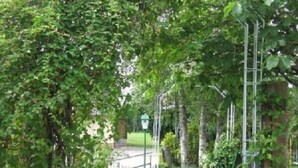 A pathway through a garden with a metal railing on one side and a metal structure on the other. - Gasthaus Deutscher Jäger (Hornberg)