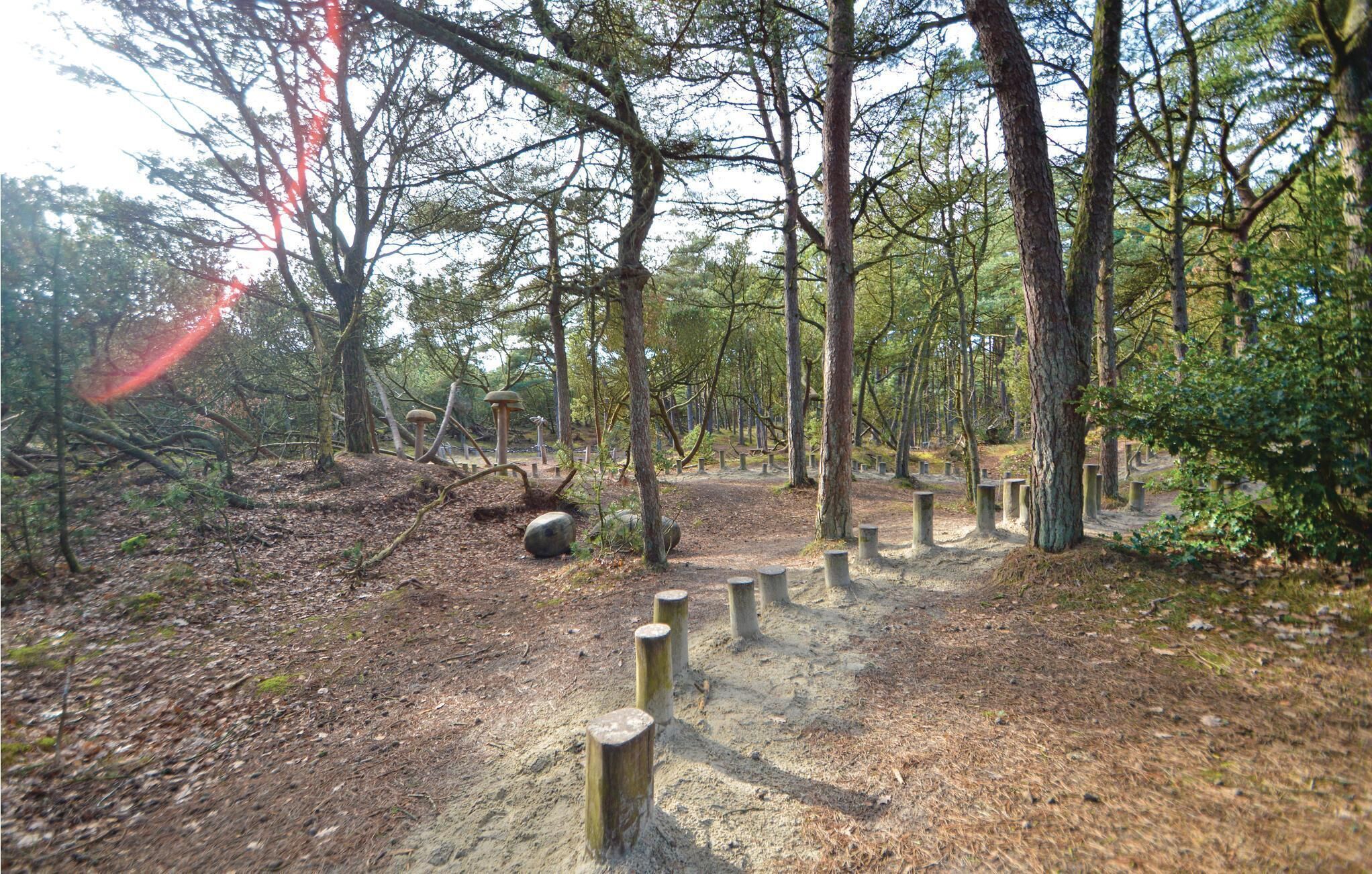 A forested area with a dirt path, wooden posts, and a large rock.