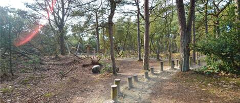 A forested area with a dirt path, wooden posts, and a large rock.