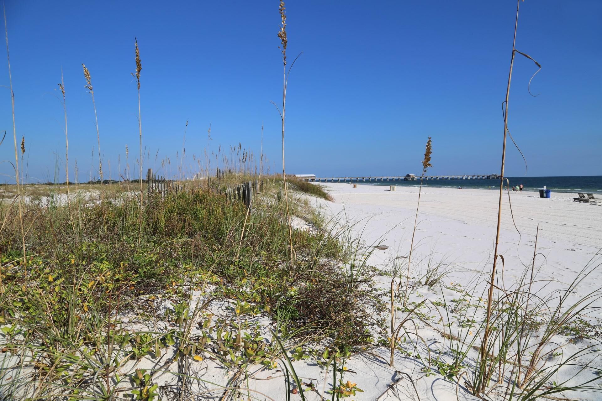 A beach with sand dunes and sparse vegetation.