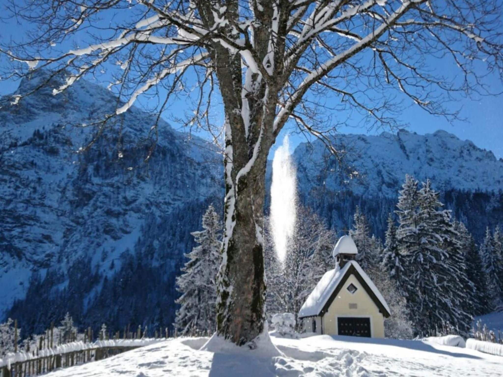 Un paysage enneigé avec un grand arbre, un petit bâtiment doté d’un toit en pente et, au loin, des montagnes recouvertes de neige.