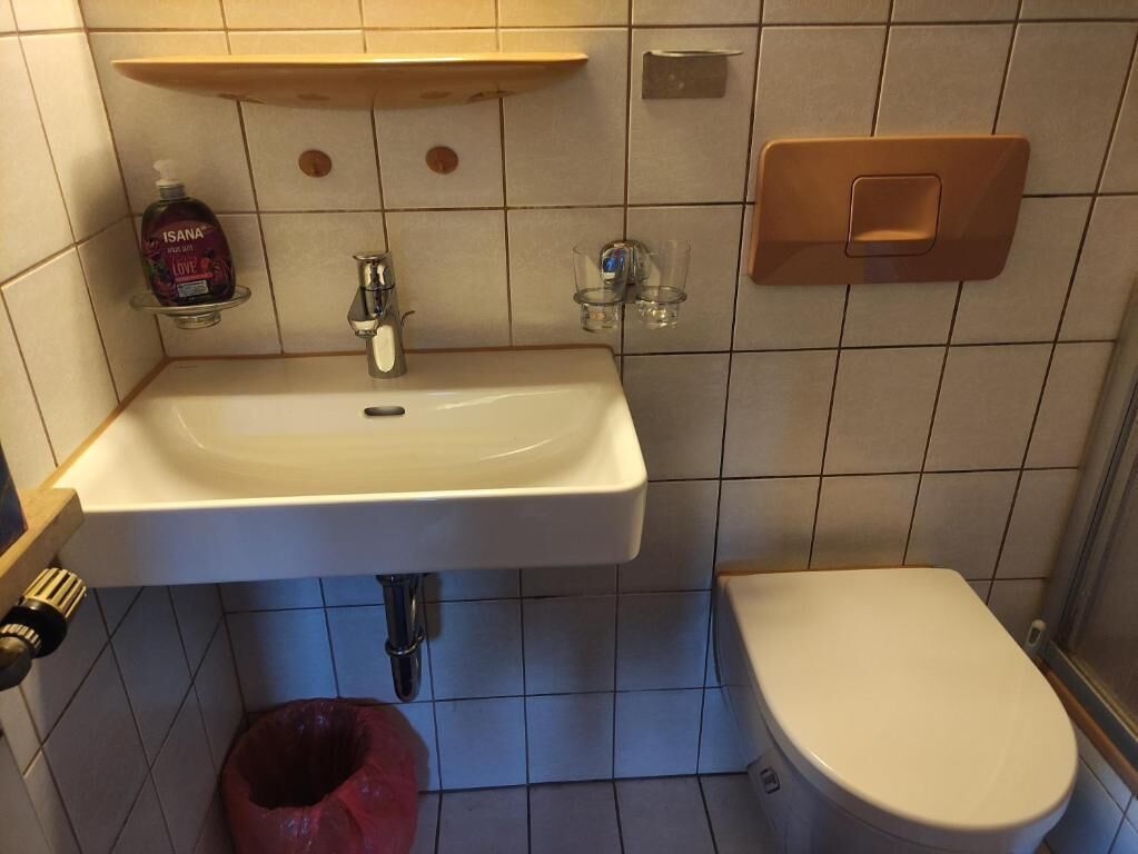A bathroom with a white sink, a toilet, and a shelf with a bottle.