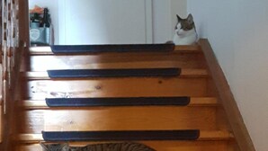 A wooden staircase with a cat sitting on the middle step. - Landhaus Grassmann (Piding)
