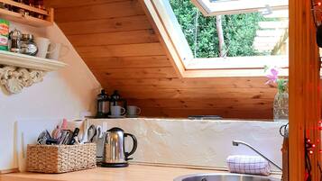 Fridge, microwave, stovetop, electric kettle