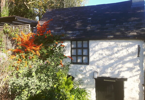Eksteriør