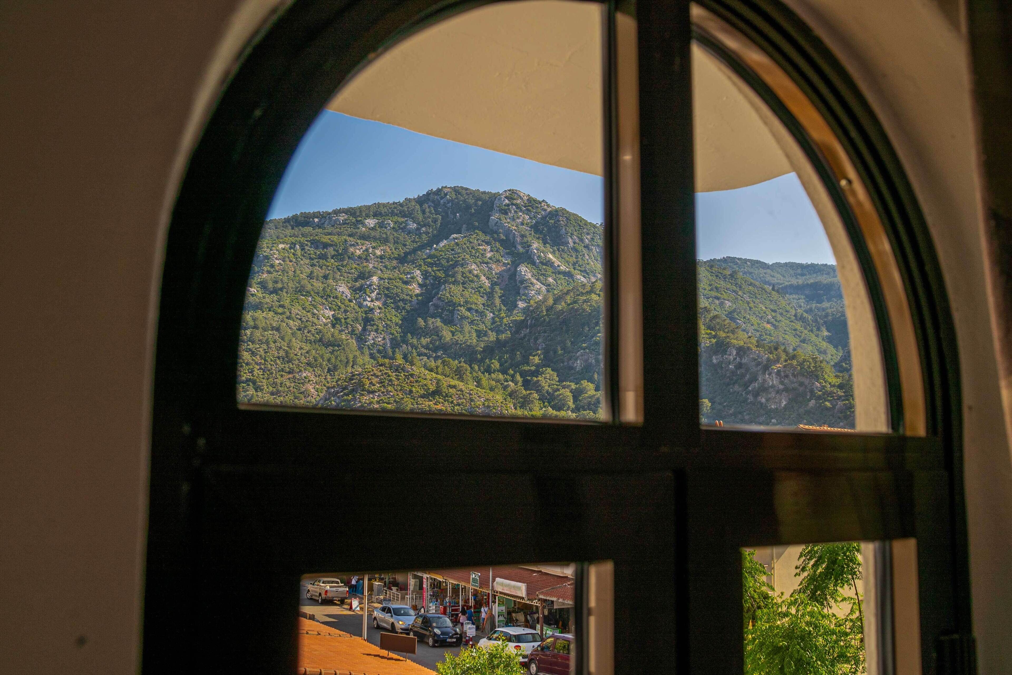 standard double or twin room, mountain view, beachfront | mountain view