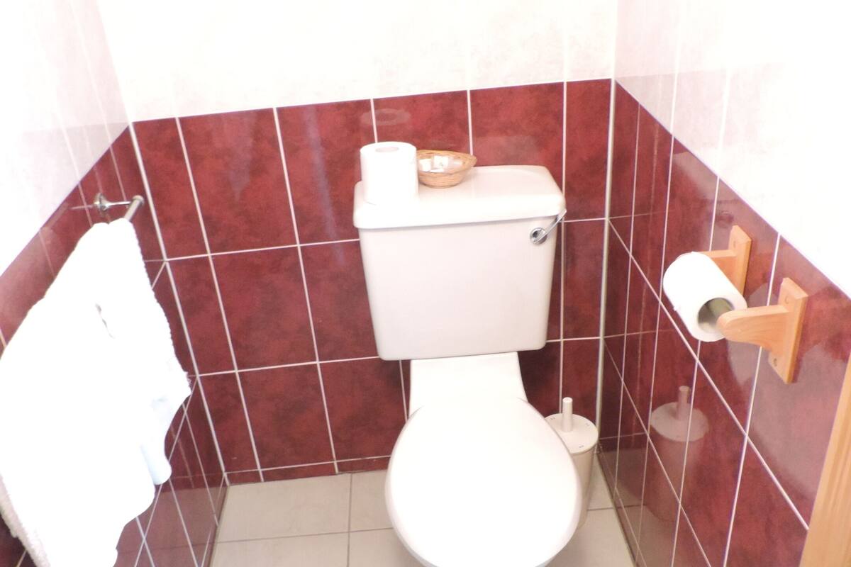 Une petite salle de bain avec des toilettes, un rouleau de papier toilette et un porte-serviettes.