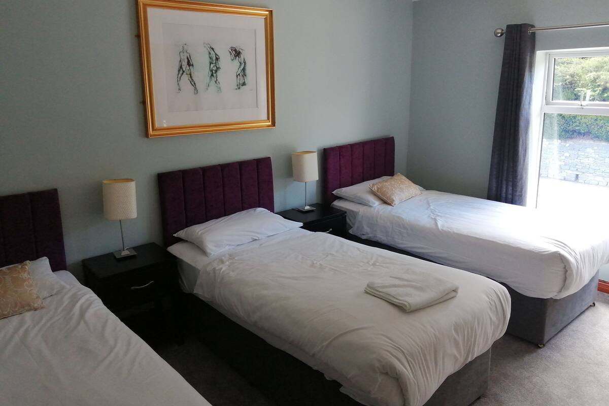 Une chambre d’hôtel avec deux lits, une œuvre d’art encadrée au mur et une fenêtre avec des rideaux.