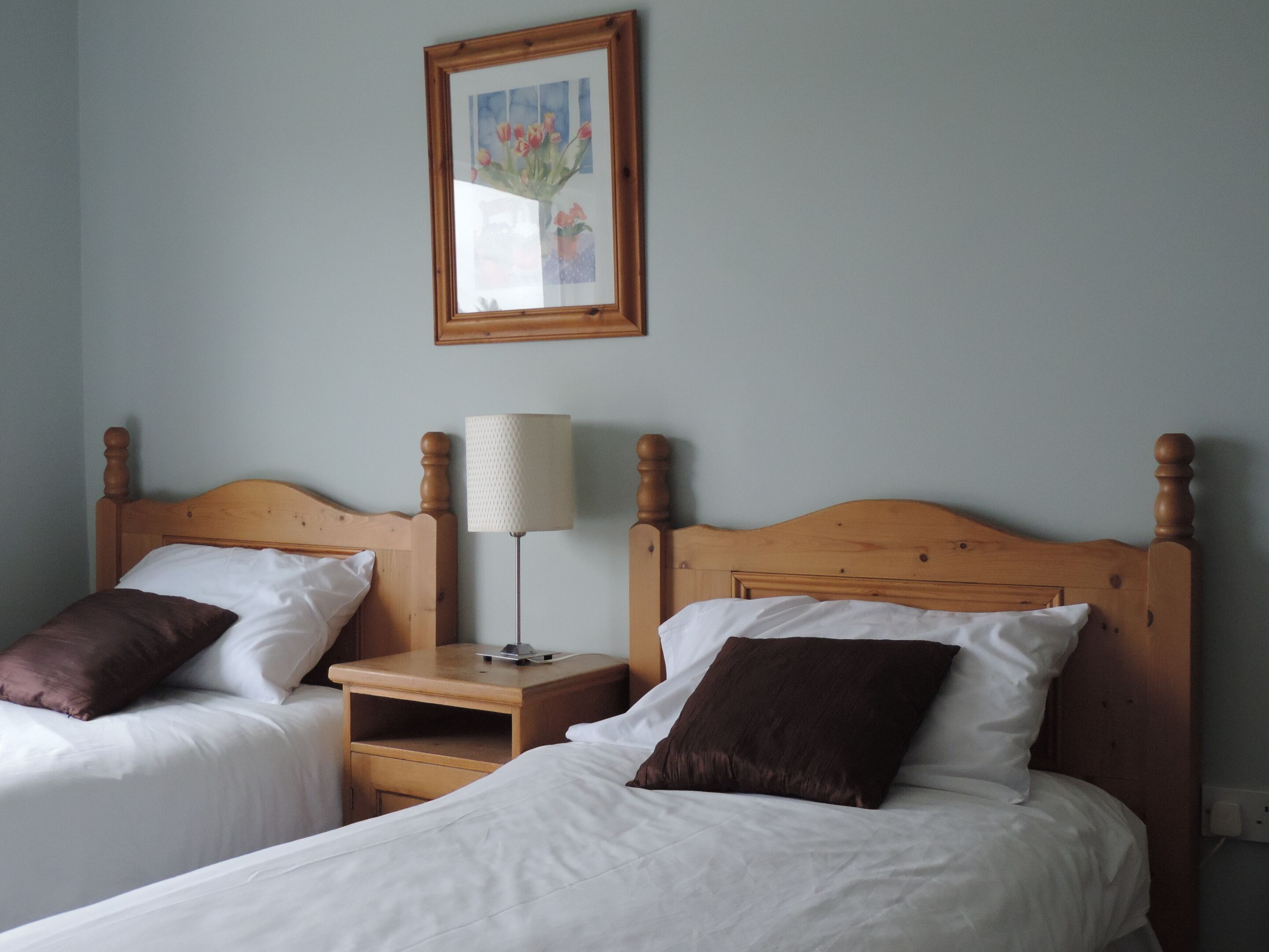 Two single beds with wooden headboards, white linens, and brown pillows. A nightstand with a lamp is between the beds.