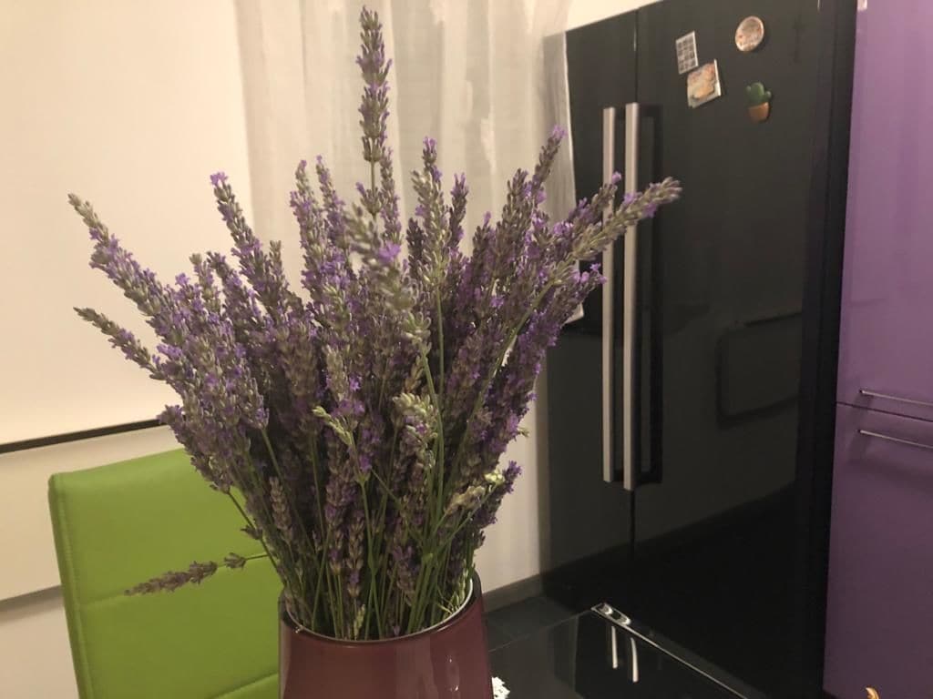 Superior-lejlighed | Privat køkken | Køleskab, kogeplade, kaffe-/temaskine, elkedel