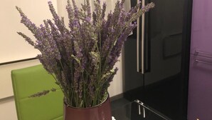 A room with a black refrigerator, a green chair, and a vase of lavender flowers on a black table. - Casa di Lavanda (Hvar)