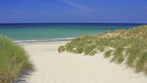 A sandy beach with a clear blue sky and ocean.
