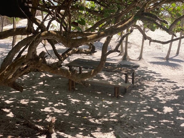 A shaded outdoor area with a bench and a table under a large tree. - Rancho Sarah Tulum in Sian Ka’an (Tulum)
