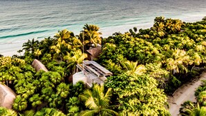 A tropical beach with dense palm trees, a thatched-roof structure, and a view of the ocean. - Rancho Sarah Tulum in Sian Ka’an  (Tulum)