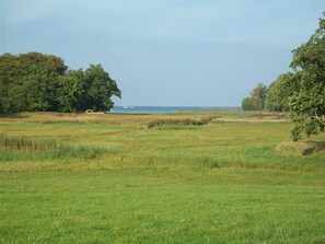 Unclassified image, 3 of 27, button