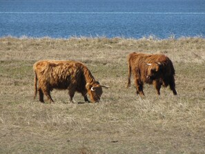 Imagen sin descripción, 2 de 32, botón