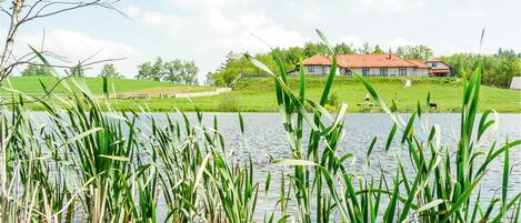 Terrain de lâhĂ©bergement