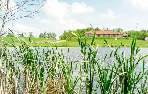 Nice studio in Borcz with kitchen