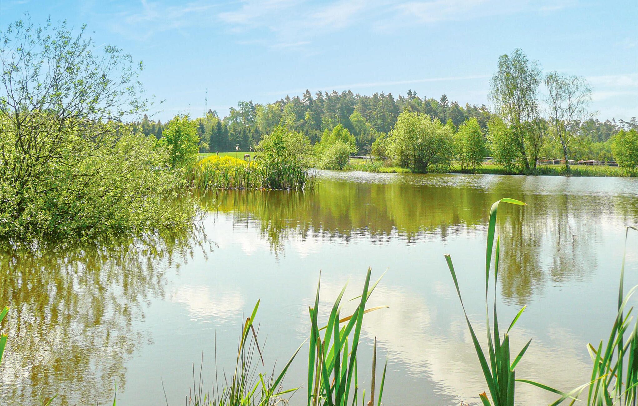 A serene lakeside view with dense greenery and trees in the background.