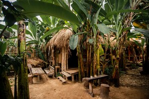 舒适平房, 1 间卧室 | 庭院景观