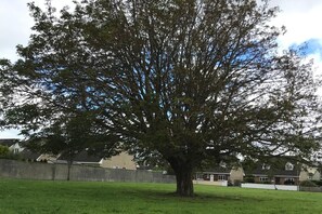Property grounds - Home From Home, Tralee. Ideal Location (Tralee)