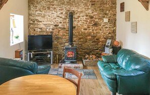 TV, fireplace, DVD player