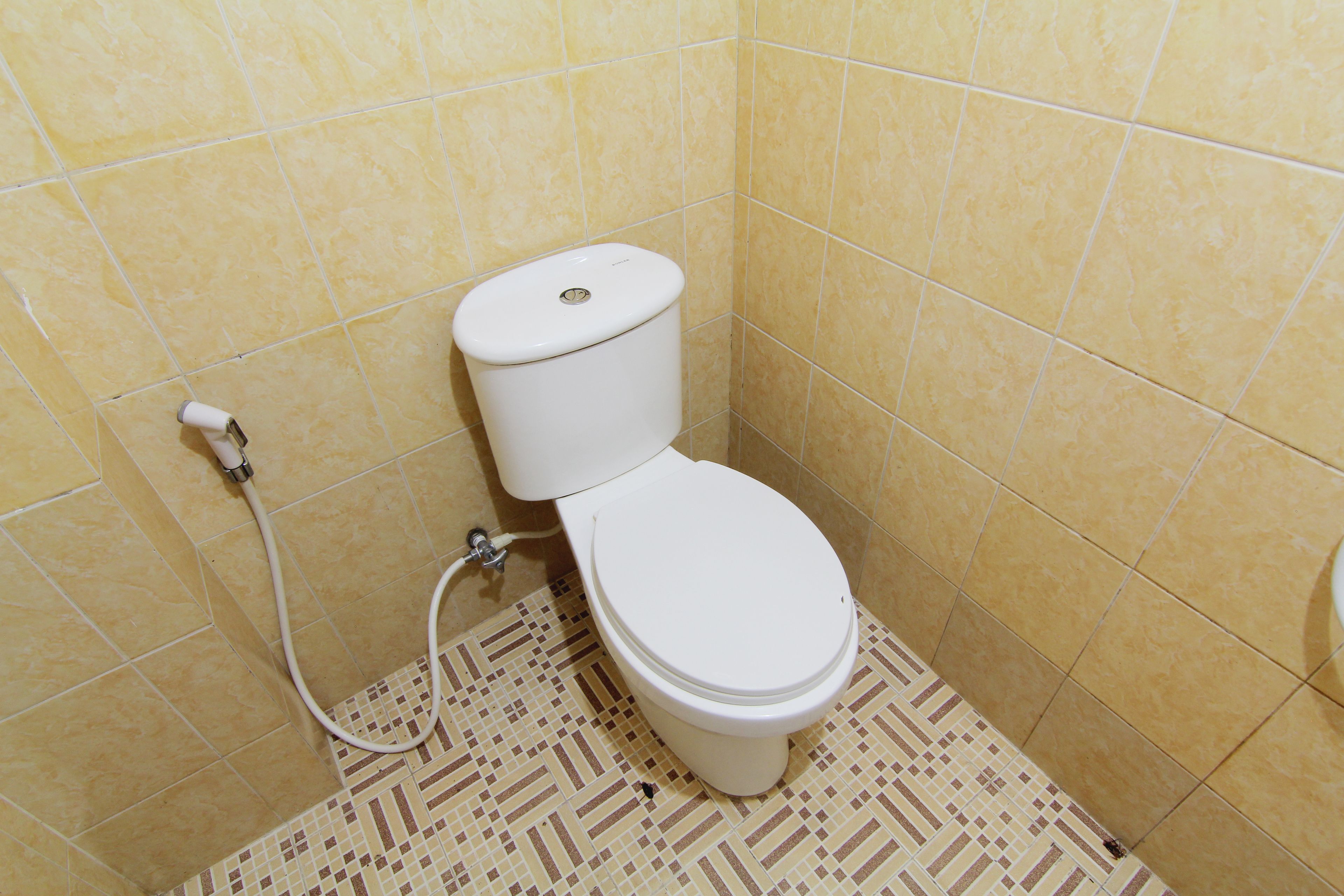 A small bathroom with a toilet, a shower hose, and patterned floor tiles.