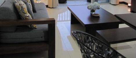 电视、DVD 播放器、乒乓球、书