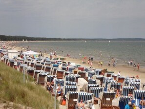 Ein Strand mit Reihen von Liegestühlen und Sonnenschirmen, ein sandiger Uferstreifen und das Meer im Hintergrund.
