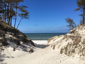 Un sentier qui longe la plage et mène à l’océan, bordé de dunes et d’une végétation clairsemée.