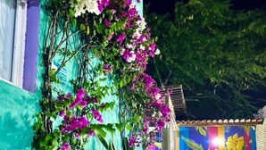 A courtyard with a stone pathway, a wall with a mural, and flowering vines. - Hostal  Aurora - Hostel (Santa Marta)