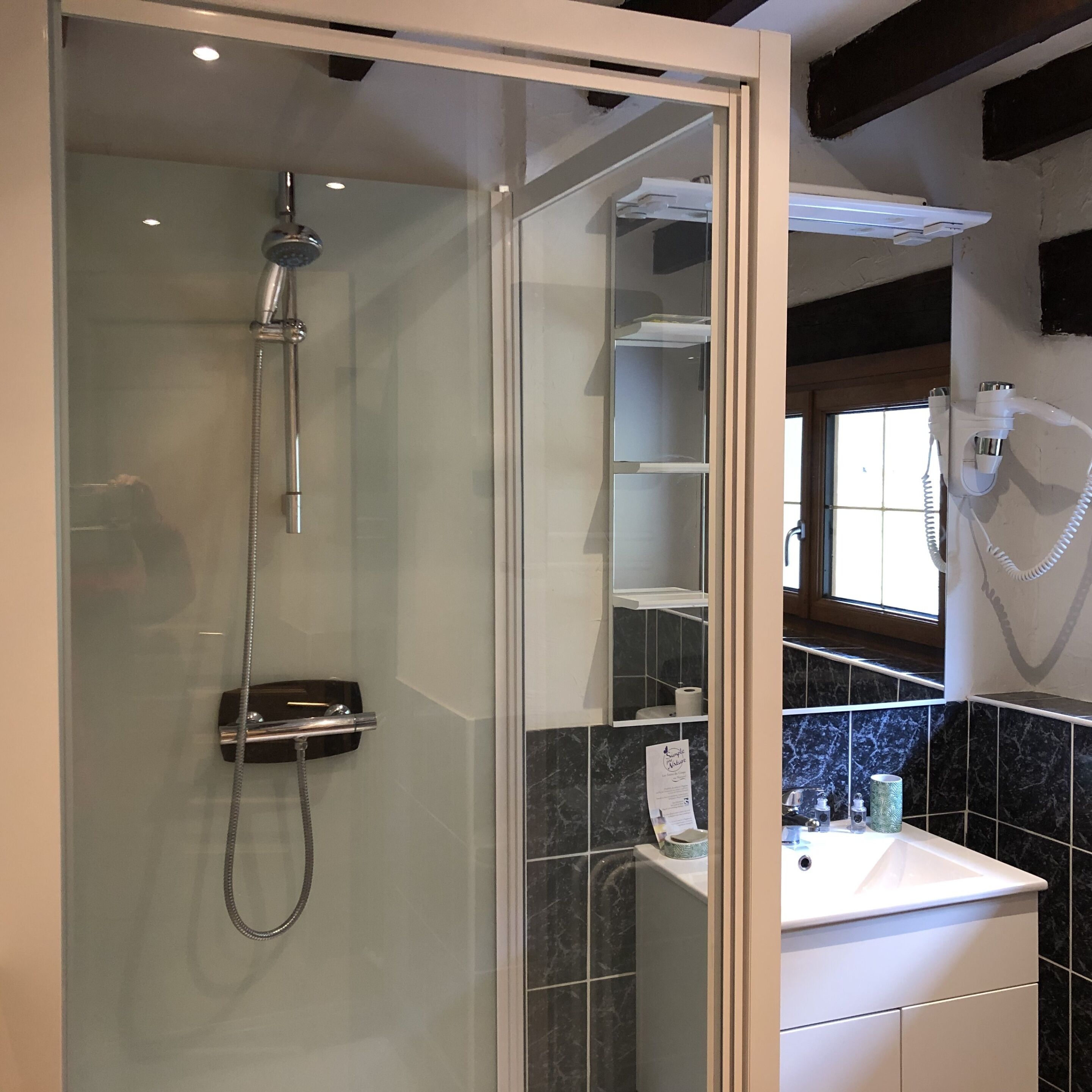 A modern bathroom with a glass-enclosed shower, a white sink, and a hairdryer mounted on the wall.