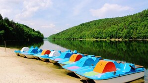 A row of colorful pedal boats lined up on a sandy shore by a calm river, surrounded by dense green forest. - Zloty Potok Resort (Lesna)