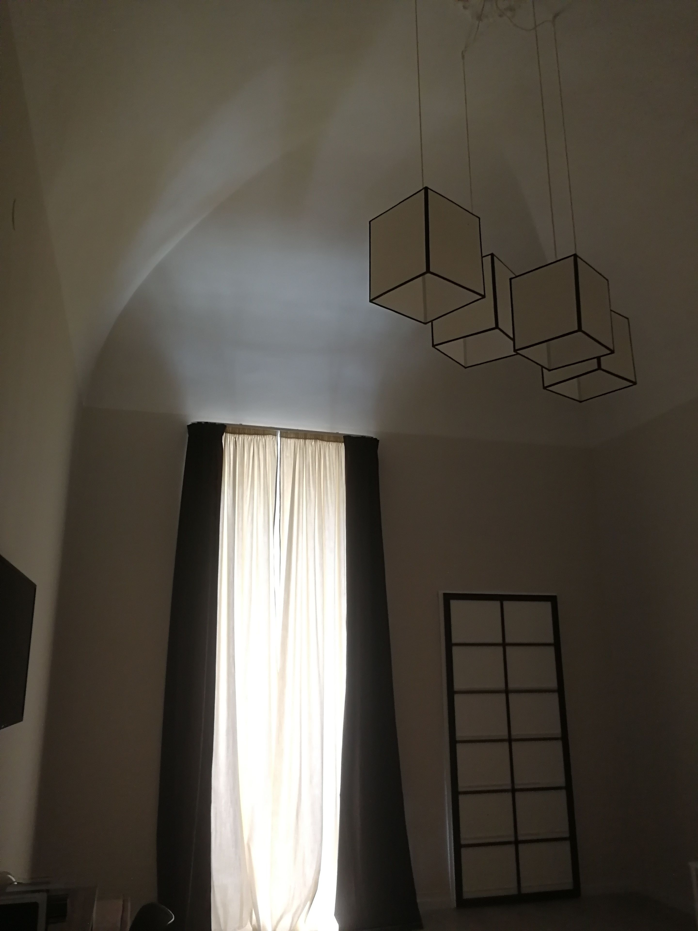 Photo - Gatto Bianco Duchessa