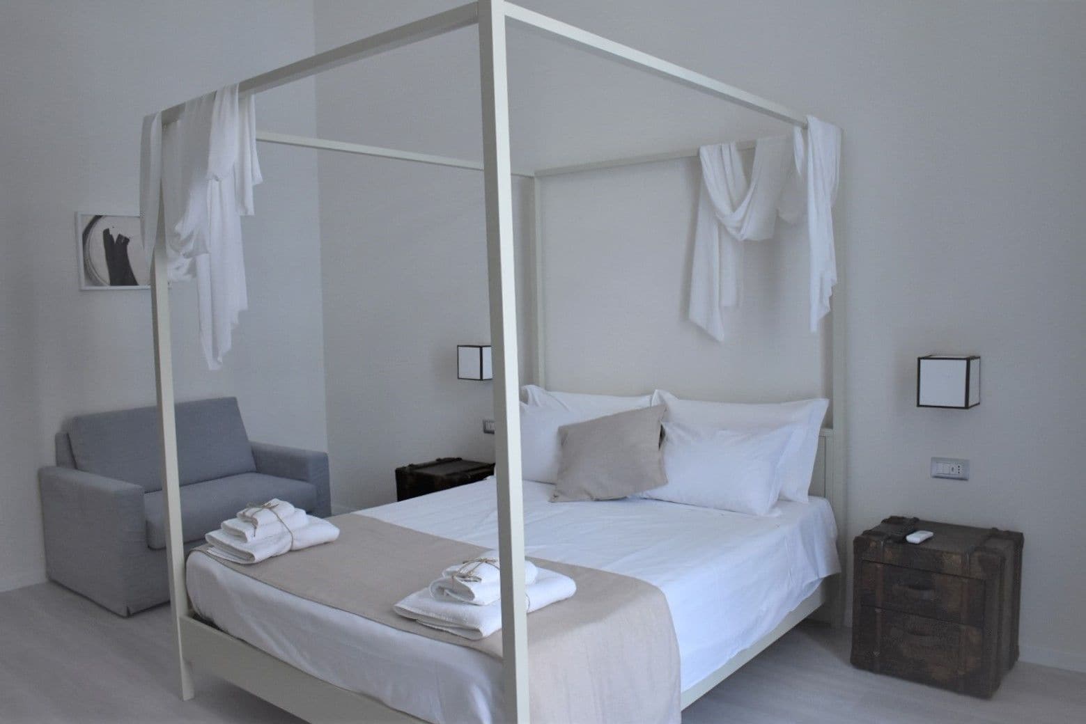 Photo - Gatto Bianco Duchessa