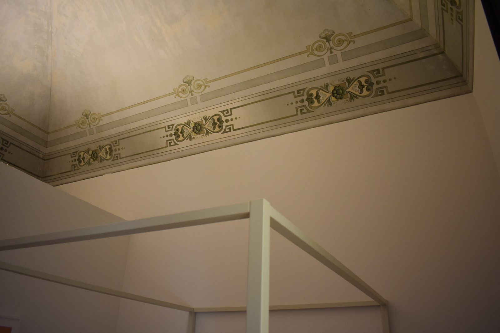 Photo - Gatto Bianco Duchessa