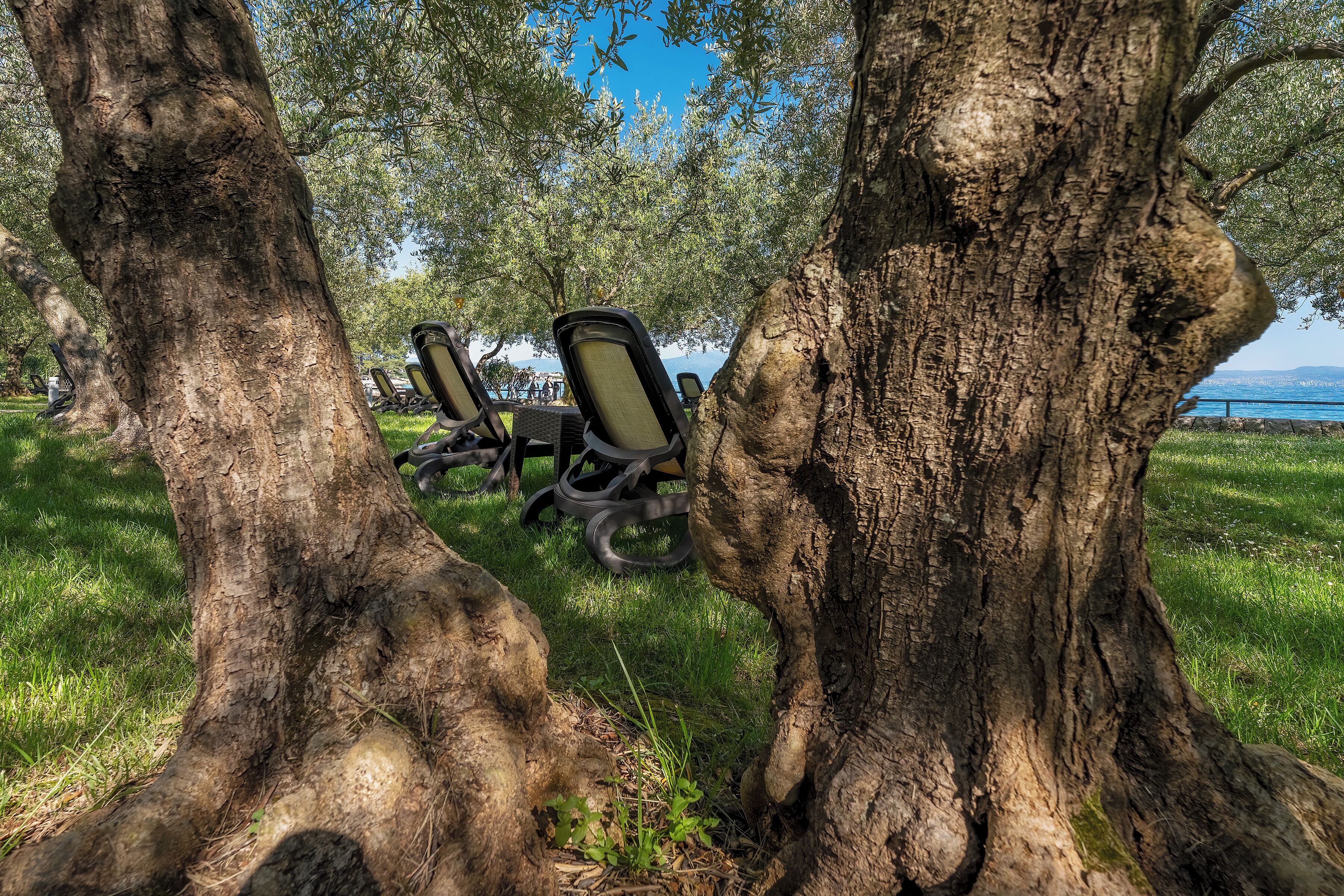 beach nearby, beach massages