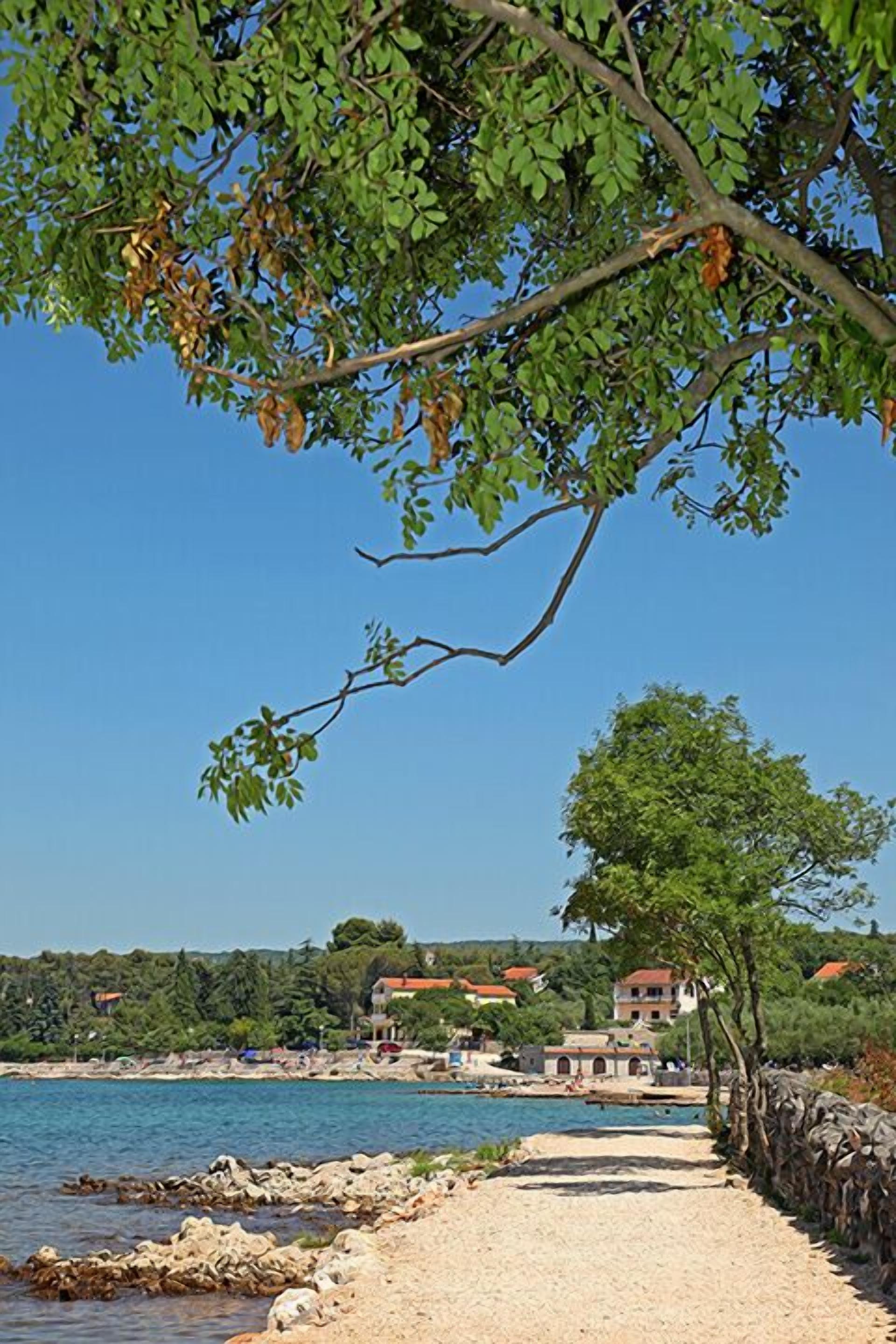 A coastal path with a stone wall, clear blue sky, and buildings in the background.