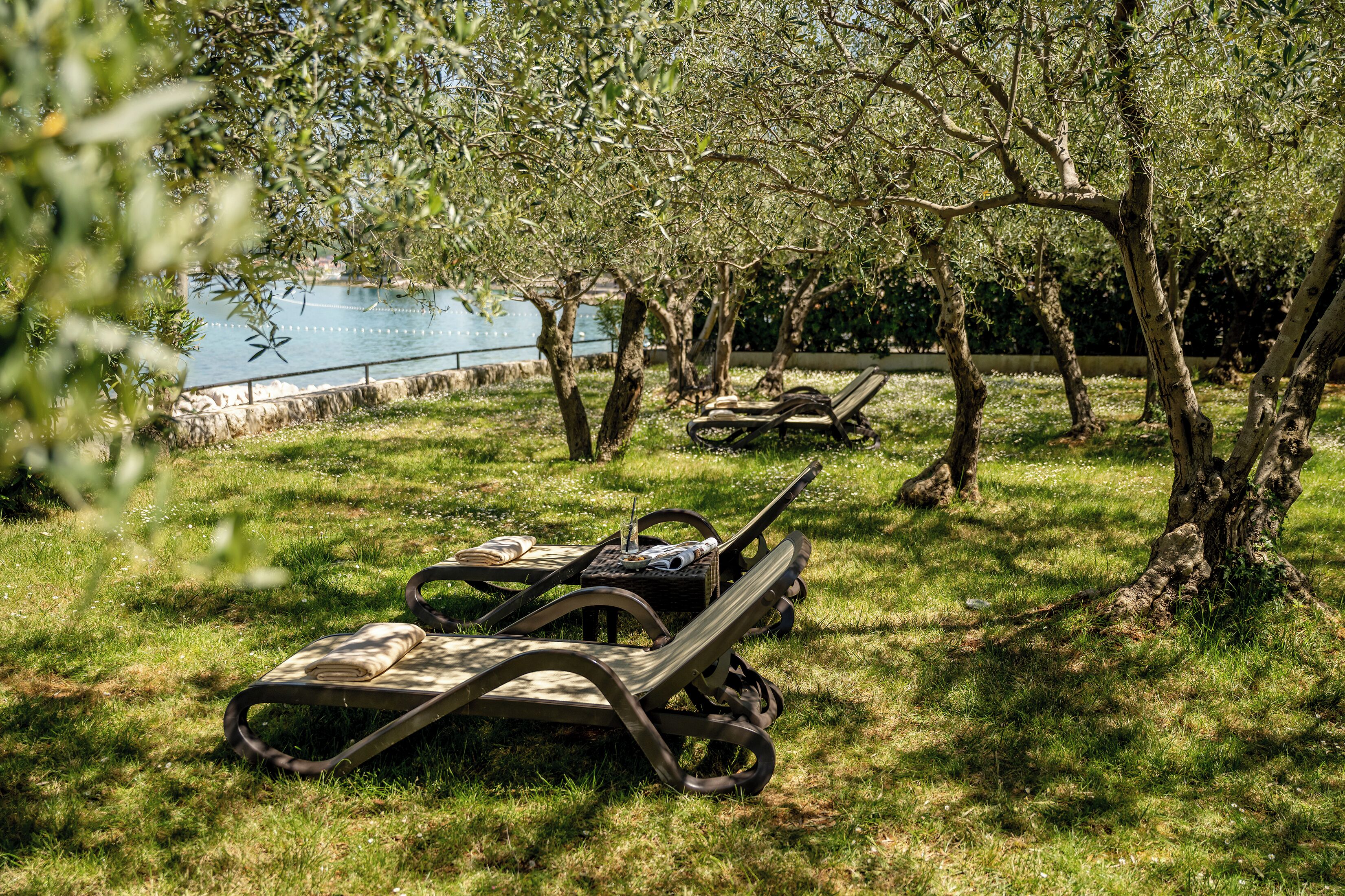 Des fauteuils de jardin, une pelouse et des arbres à proximité d’une étendue d’eau.