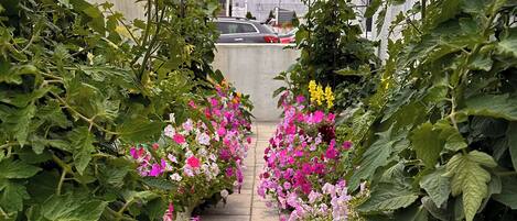 Áreas de la propiedad