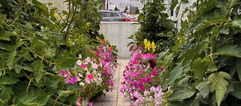 Beautiful Newly Renovated Beach Block Retreat [1305-3]