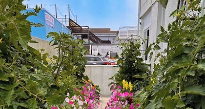 Hermoso refugio de playa recientemente renovado (# 3)