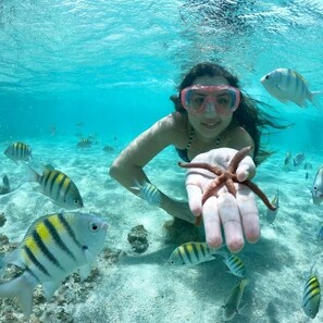 Una persona bajo el agua sosteniendo una estrella de mar, rodeada de peces.