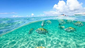 Perto da praia