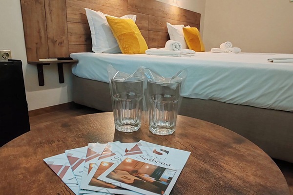 Standard Double Room | Desk, iron/ironing board, free WiFi, bed sheets