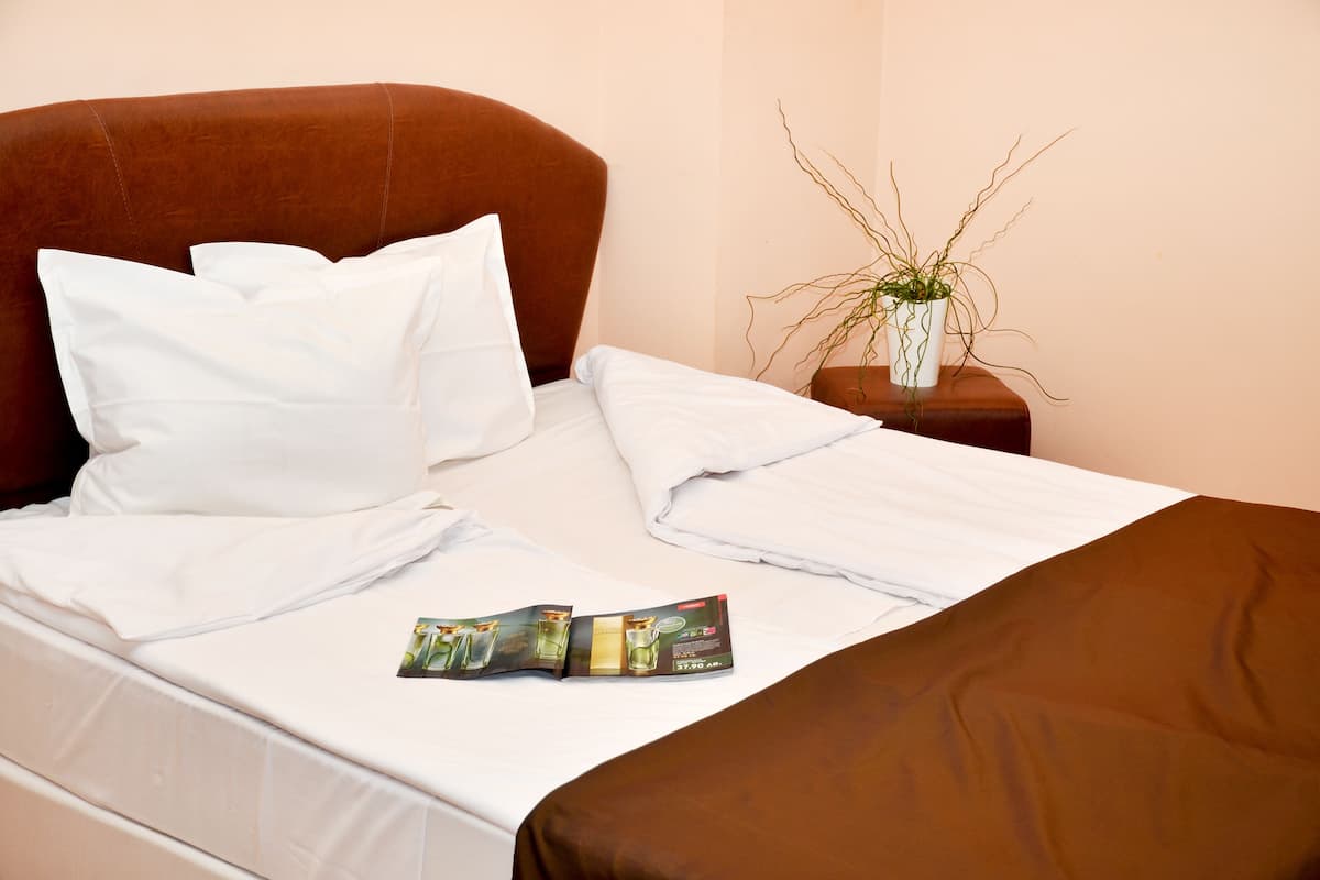 Desk, iron/ironing board, free WiFi, bed sheets