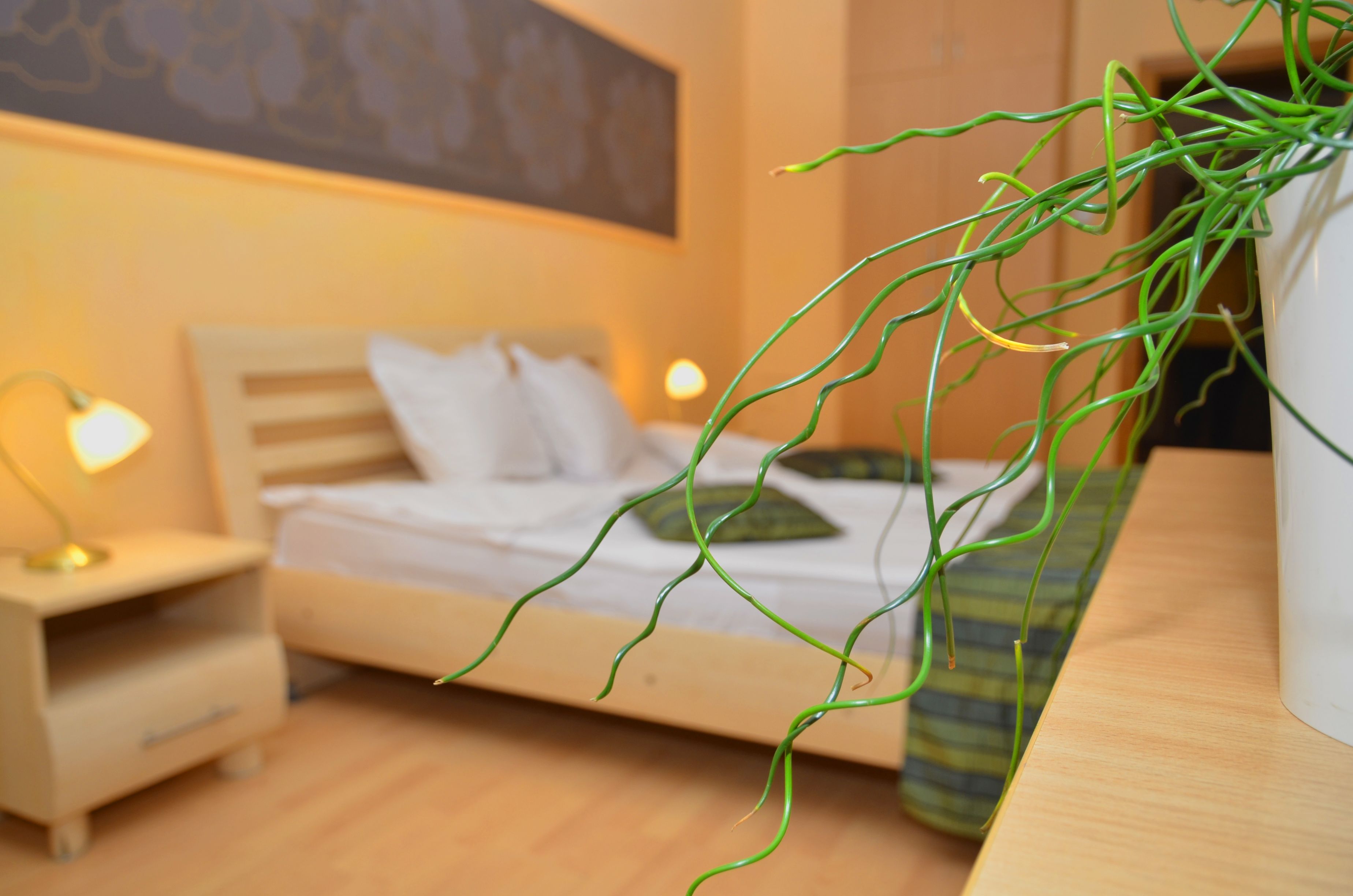 standard double room | desk, iron/ironing board, free wifi, bed sheets