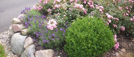 Overnatningsstedets område