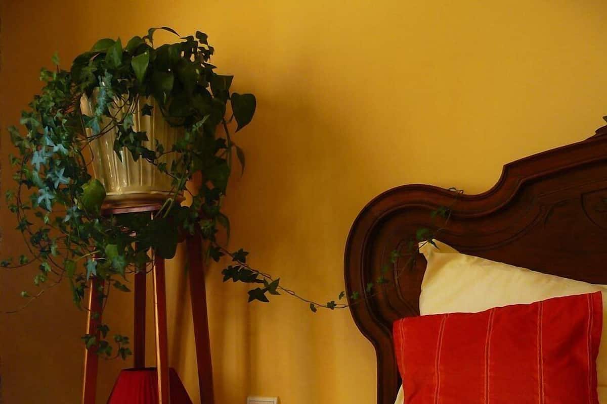 Double Room (Soleil) | Blackout curtains, iron/ironing board (on request)